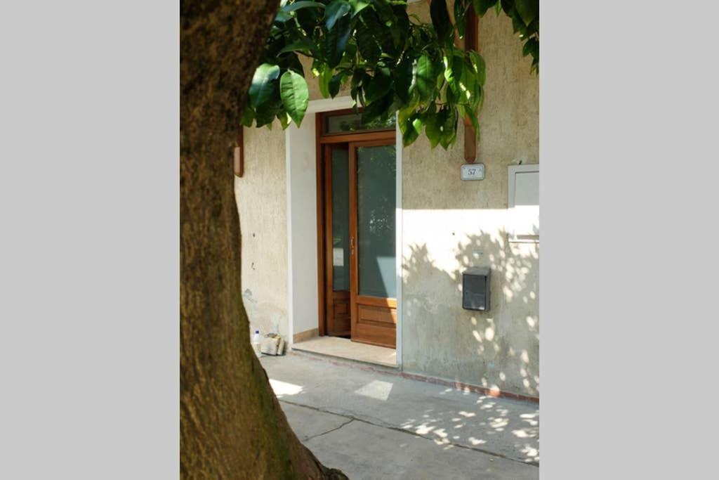 La Casina Di Bruna Mommio Exteriör bild