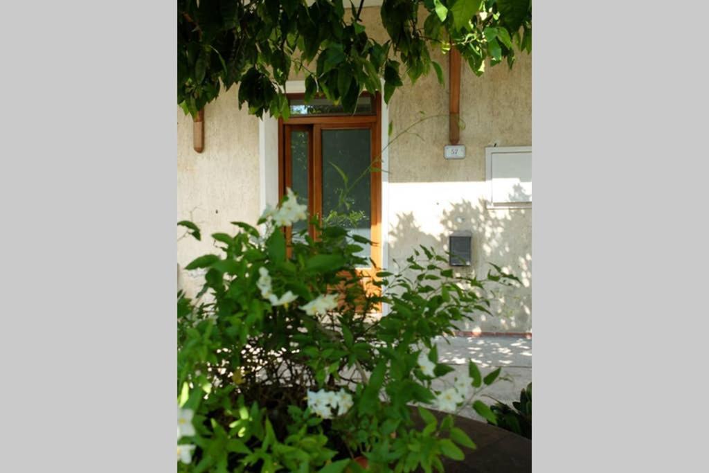 La Casina Di Bruna Mommio Exteriör bild