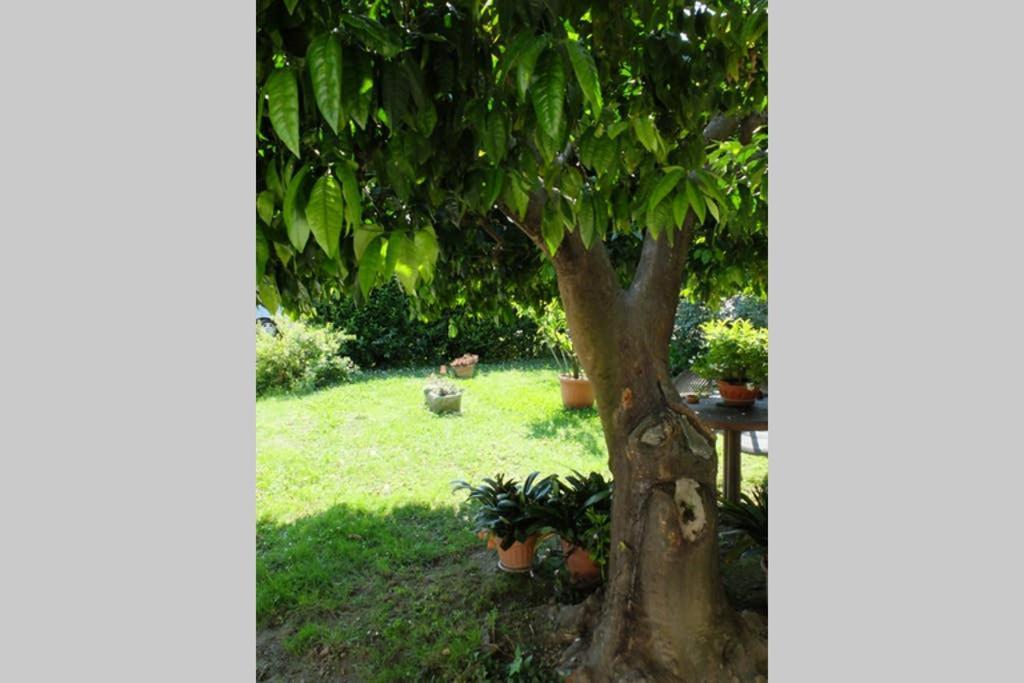 La Casina Di Bruna Mommio Exteriör bild