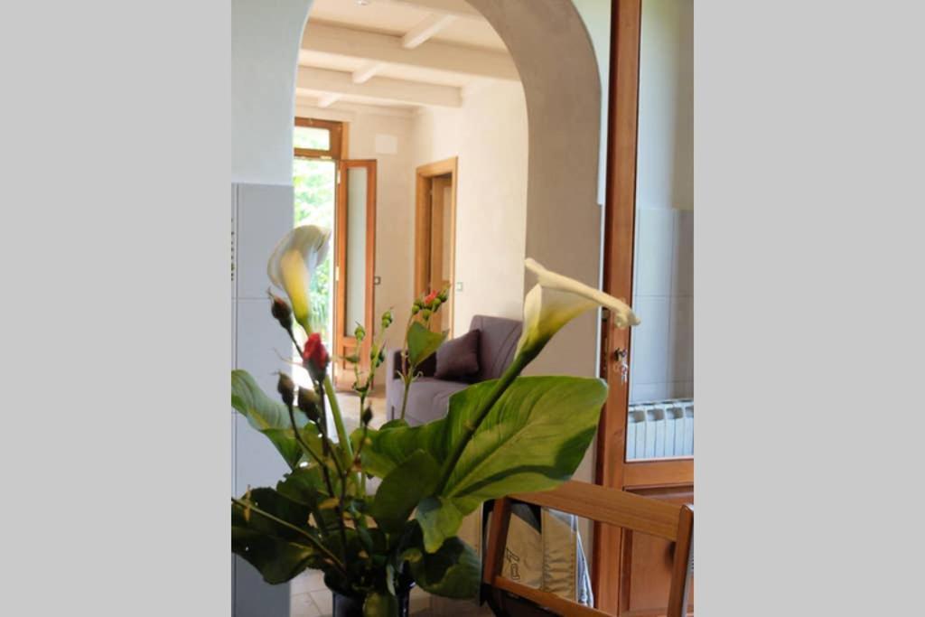 La Casina Di Bruna Mommio Exteriör bild